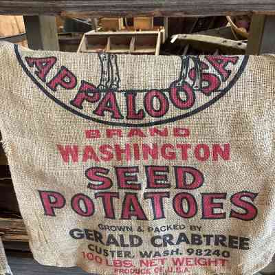 Seed Potato Sack