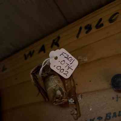 .54 Buck & Ball Cartridge