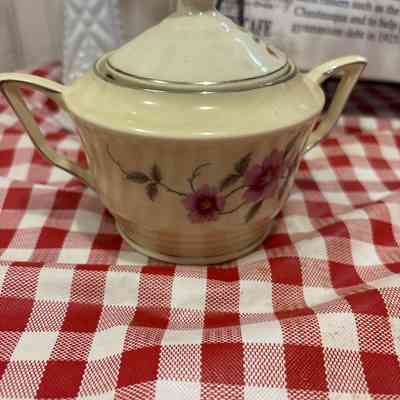 Sugar Cup