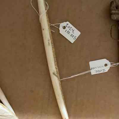 Chilkat Blanket Pin/Scratcher