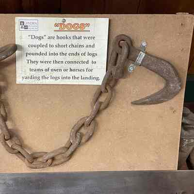 Dog Hook