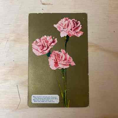 Carnation Postcard