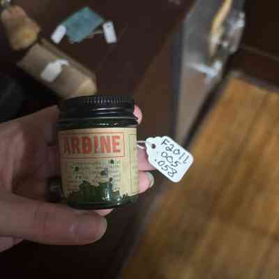 Ardine