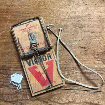 Wooden Rat Trap