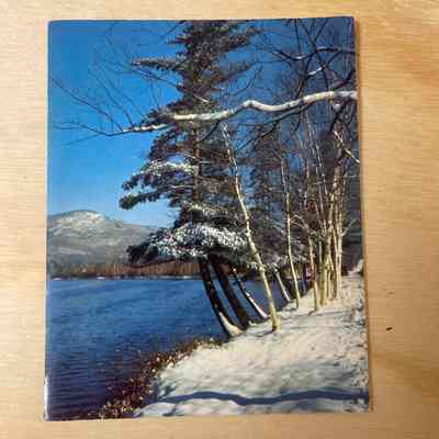 Holiday Greeting Card
