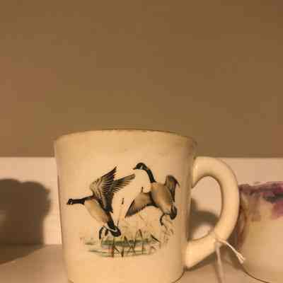Geese Mug