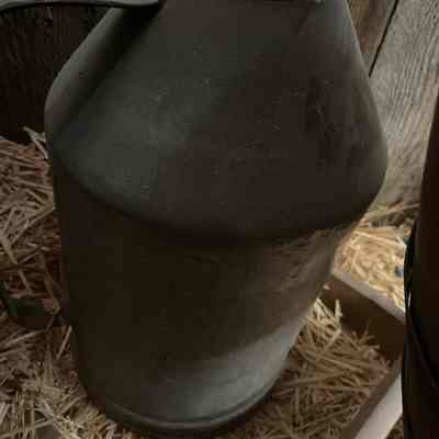 Creamer Jug