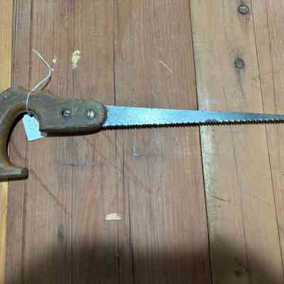 Small Hand Saw