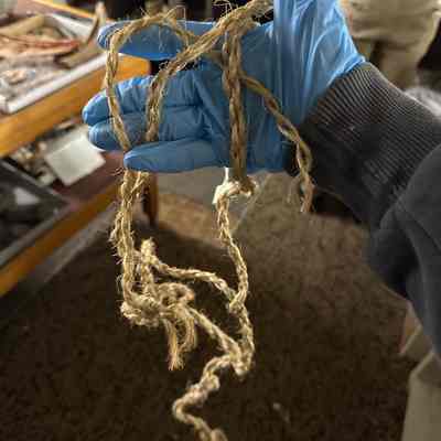 Cedar twine/chord