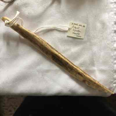 Bone awl