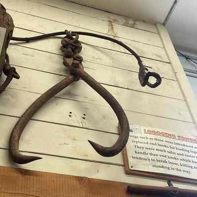 Logging Tongs