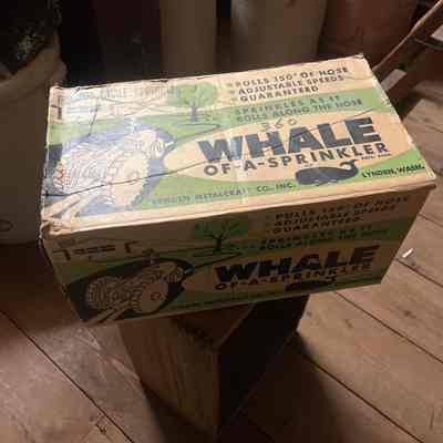 Whale Sprinkler Box (Toy Erector Set Inside)