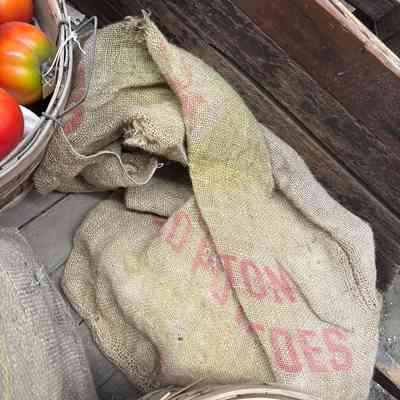 Seed Potato Burlap Sack