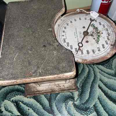 Health Meter Scale