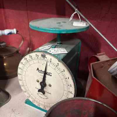Scale