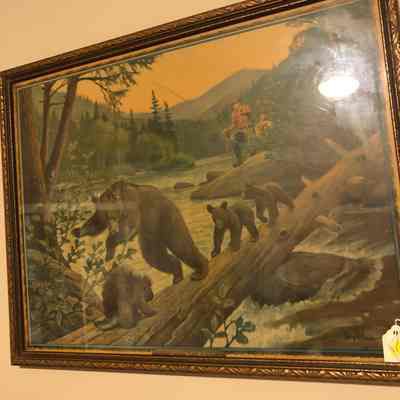 Bears Picture