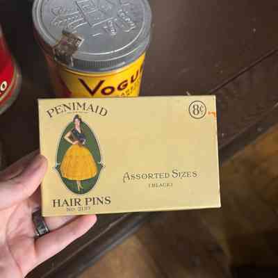 Penimaid Hair Pins