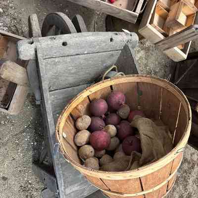 Wheelbarrow