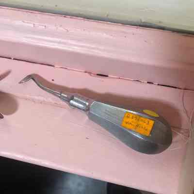 Angular Dental Root Extraction Elevator