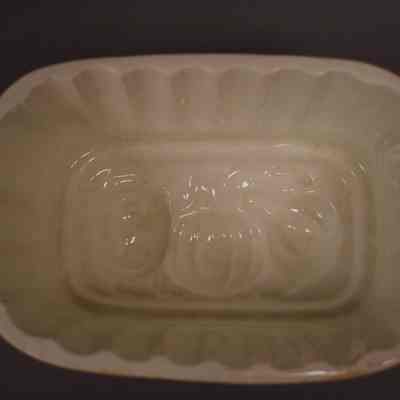 Food Mold