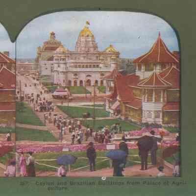 Stereograph