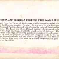 Stereograph - Image 2