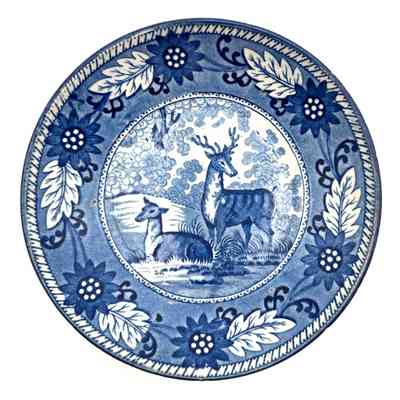Saucer