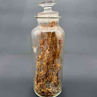 Apothecary Bottle