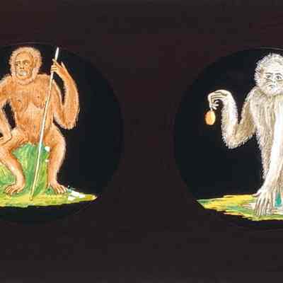 Transparency, Lantern Slide