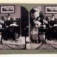 825 - The Beautiful Stenographer
