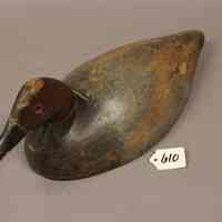 Canvasback Drake - Image 3