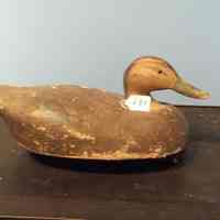 Untitled - Image 2