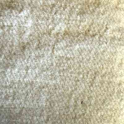 Blanket