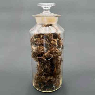 Apothecary Bottle