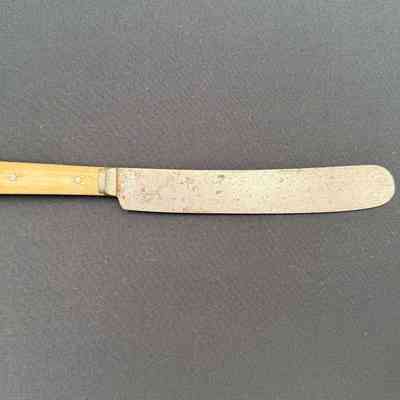Dinner Knife