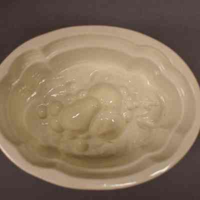 Food Mold