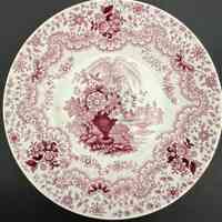 Saucer