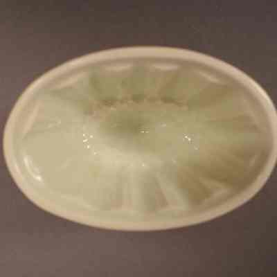 Food Mold
