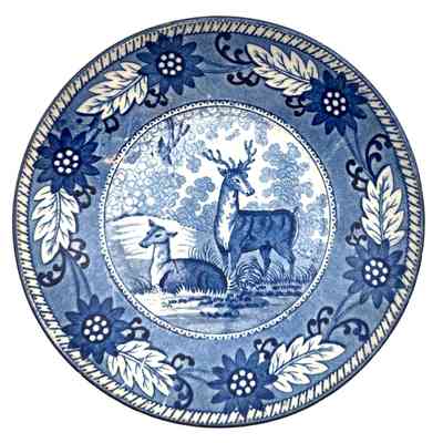 Saucer