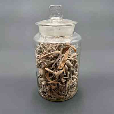 Apothecary Bottle