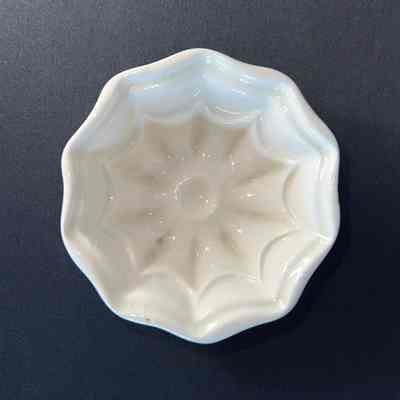 Food Mold