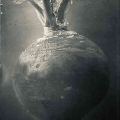 Glass Plate Negative, Rutabaga/Swede