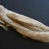 Flax - Image 3