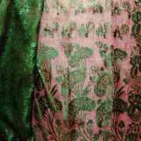 Veil - Image 2