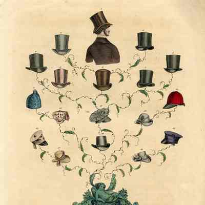 Fanciful Tree of Men's and Boys' Hats