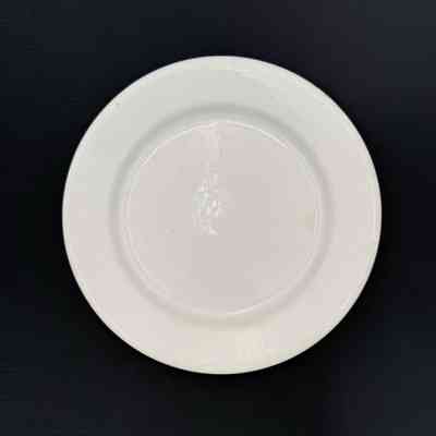Dinner Plate
