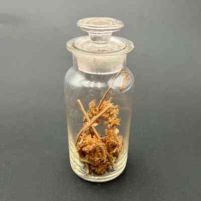 Apothecary Bottle