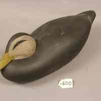 Black Duck - Image 3