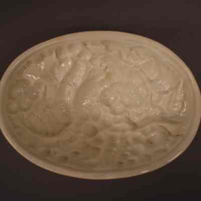 Food Mold