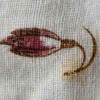 Pocket - Image 4